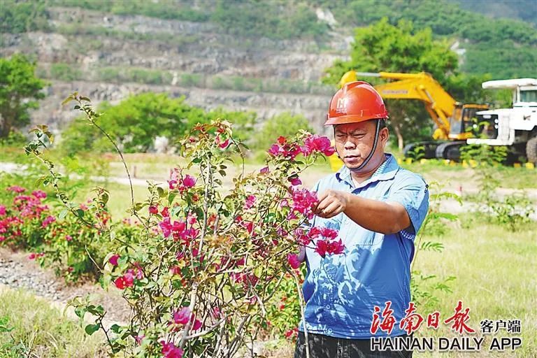 1717063485972696.jpg 海南(nan)这座矿山(shān),爲(wei)何这么绿?4.jpg
