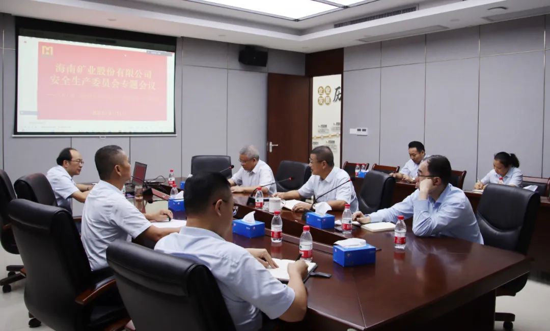 海南(nan)矿业安(an)委(wei)会學(xué)习宣贯《关于(yu)進(jin)一(yi)步加(jia)强矿山(shān)安(an)全生(sheng)産(chan)工(gong)作(zuò)的(de)意见》