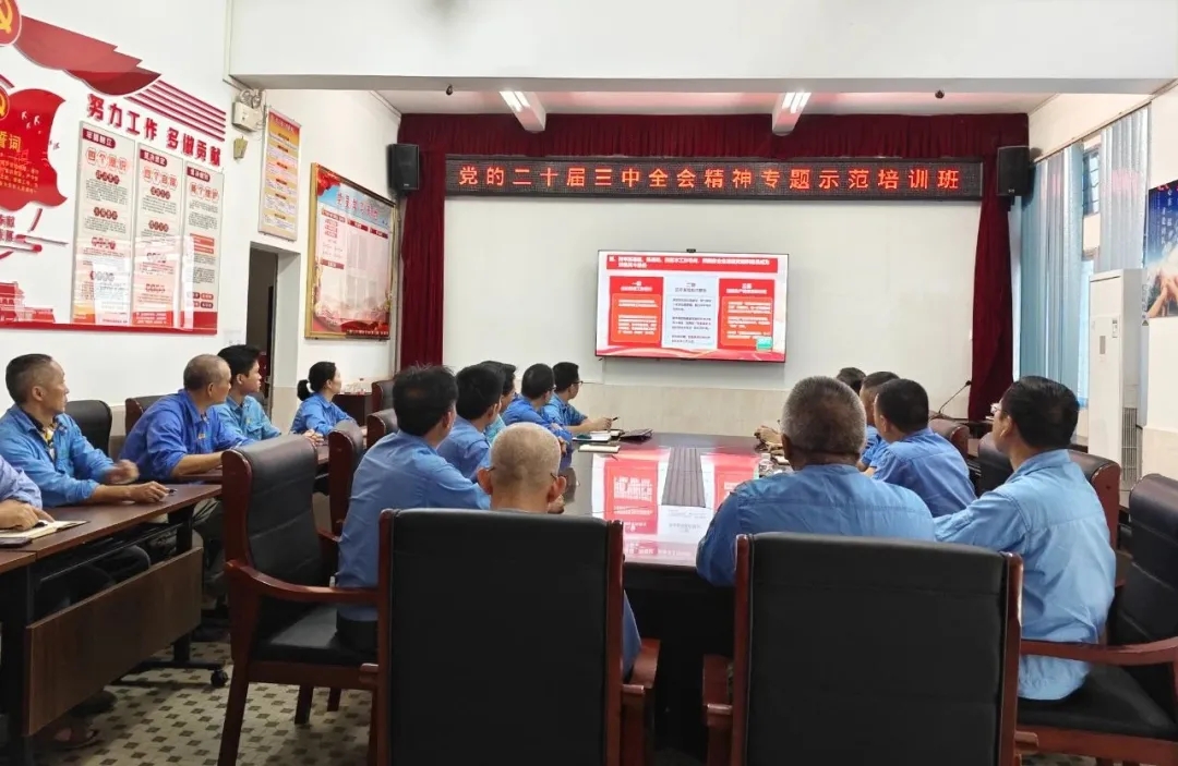 海南(nan)矿业组织观看學(xué)习贯彻党的(de)二十届三中(zhong)全会精(jīng)神專(zhuan)题示范班课堂视频直播