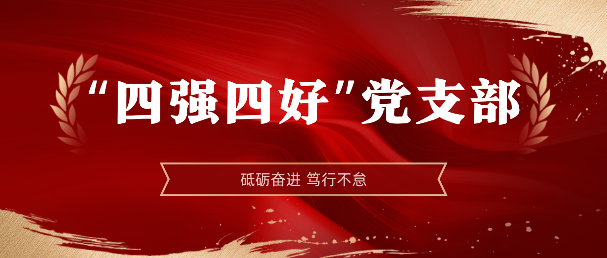 弘扬榜样精(jīng)神 | 海南(nan)矿业2024-2025年(nian)度“四强四好”党支部(bu)